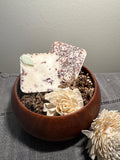 Classic Collection 2 Wax Melt Tarts